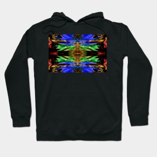 Spread Your Wings - Digitized Encaustic Hoodie